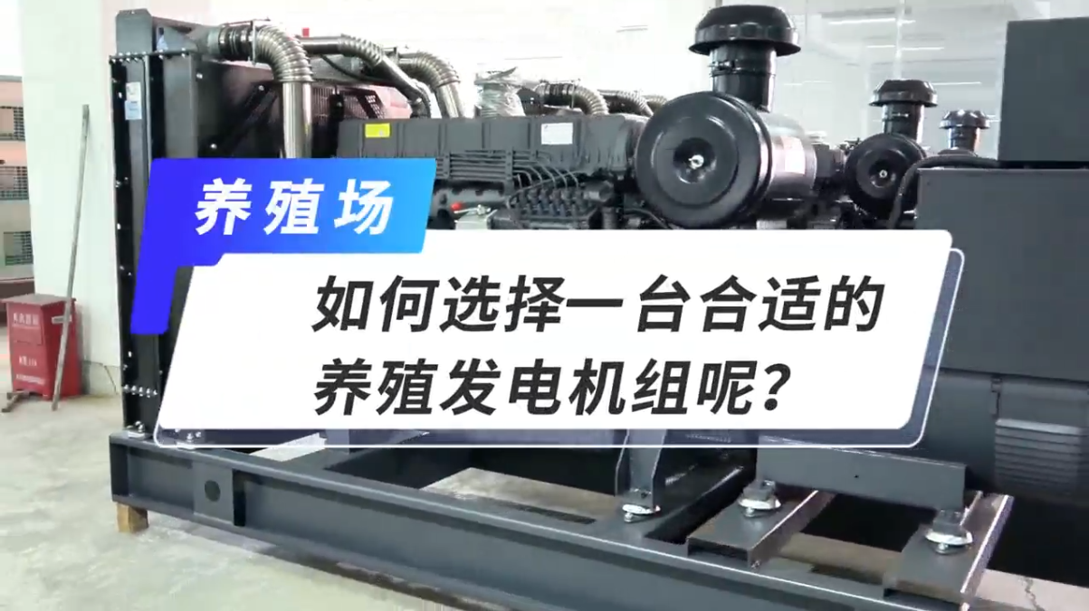 「視頻」如何選擇一臺合適的養(yǎng)殖發(fā)電機(jī)組呢？